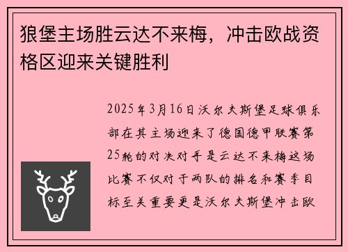 狼堡主场胜云达不来梅，冲击欧战资格区迎来关键胜利