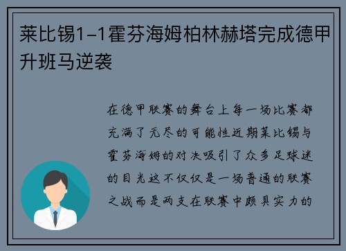 莱比锡1-1霍芬海姆柏林赫塔完成德甲升班马逆袭